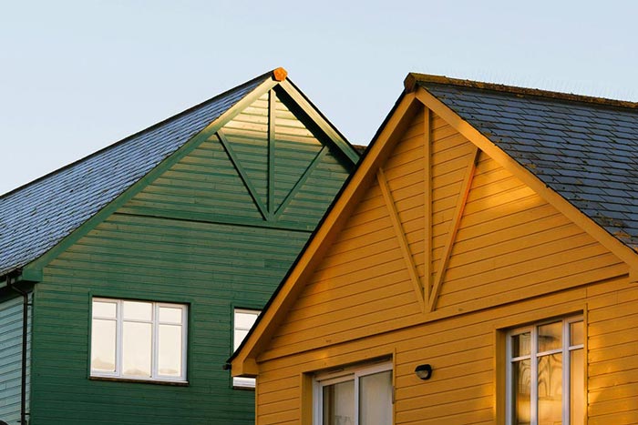 A beginner’s guide to growing indoor plants