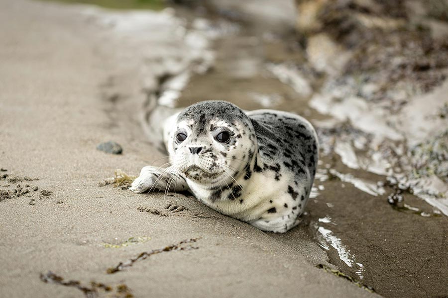 Simple ways to boost your financial health