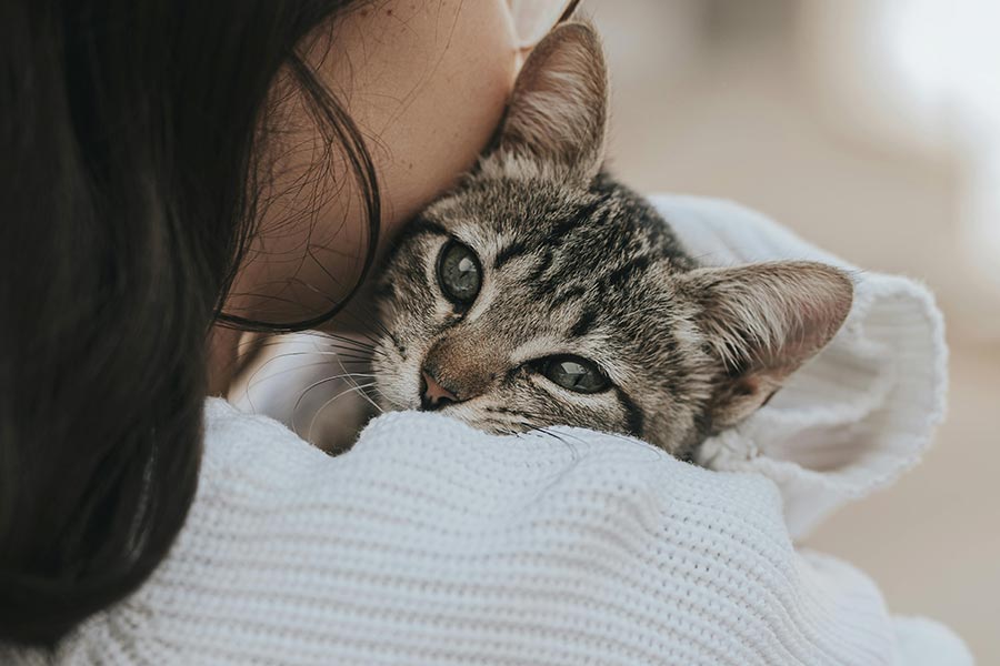 How to stay focused in a digital world