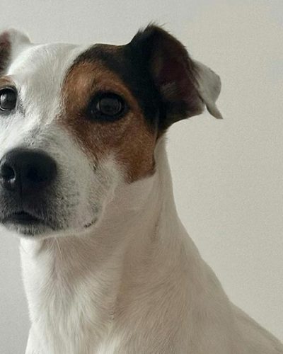 Delicious recipes for quick and easy meals